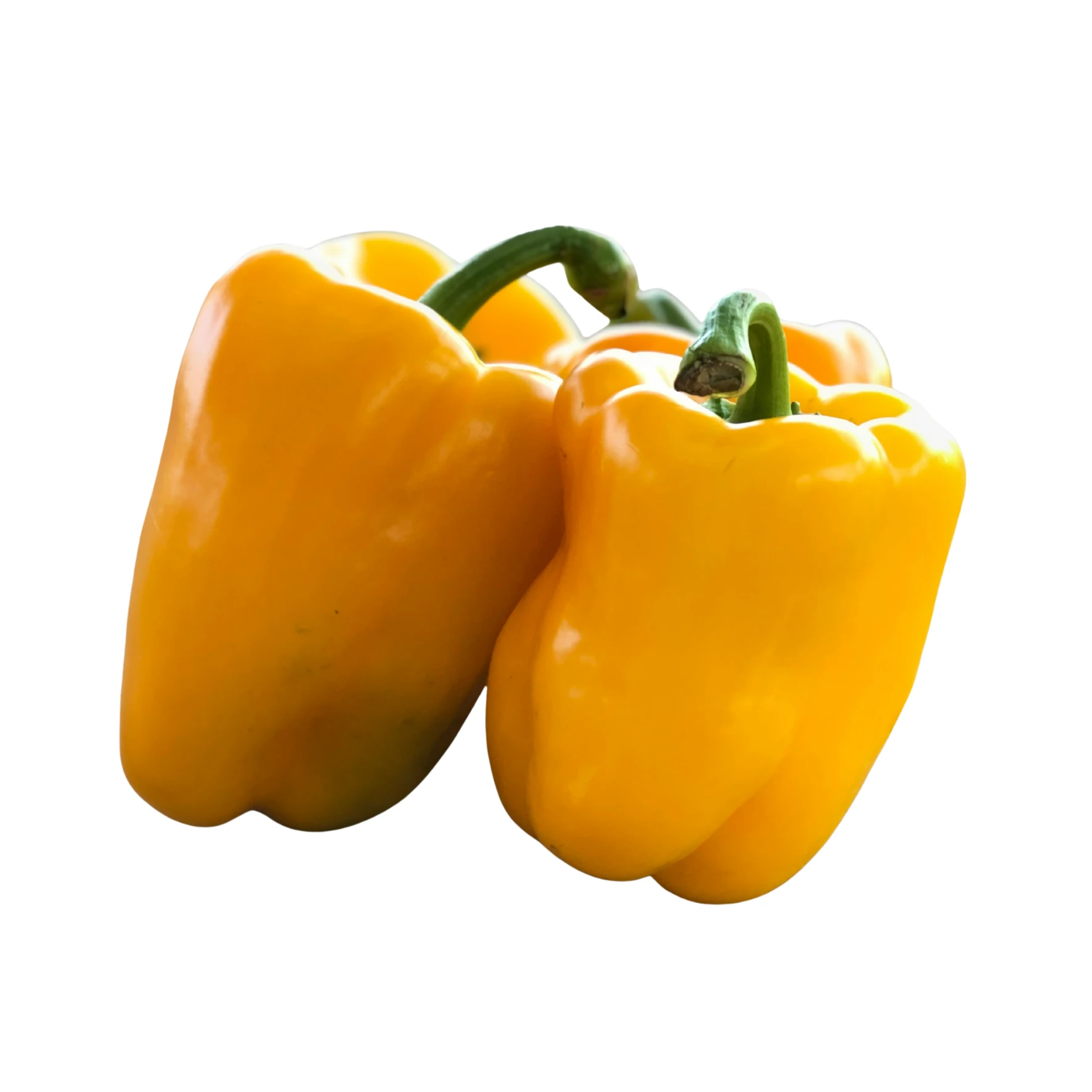 Paprika gelb